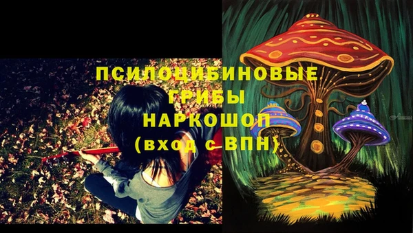 PSILOCYBIN Белоозёрский